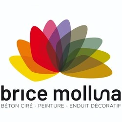 brice molluna